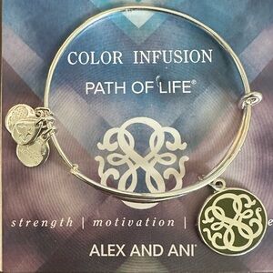Alex and Ani Color Infusion Path of Life